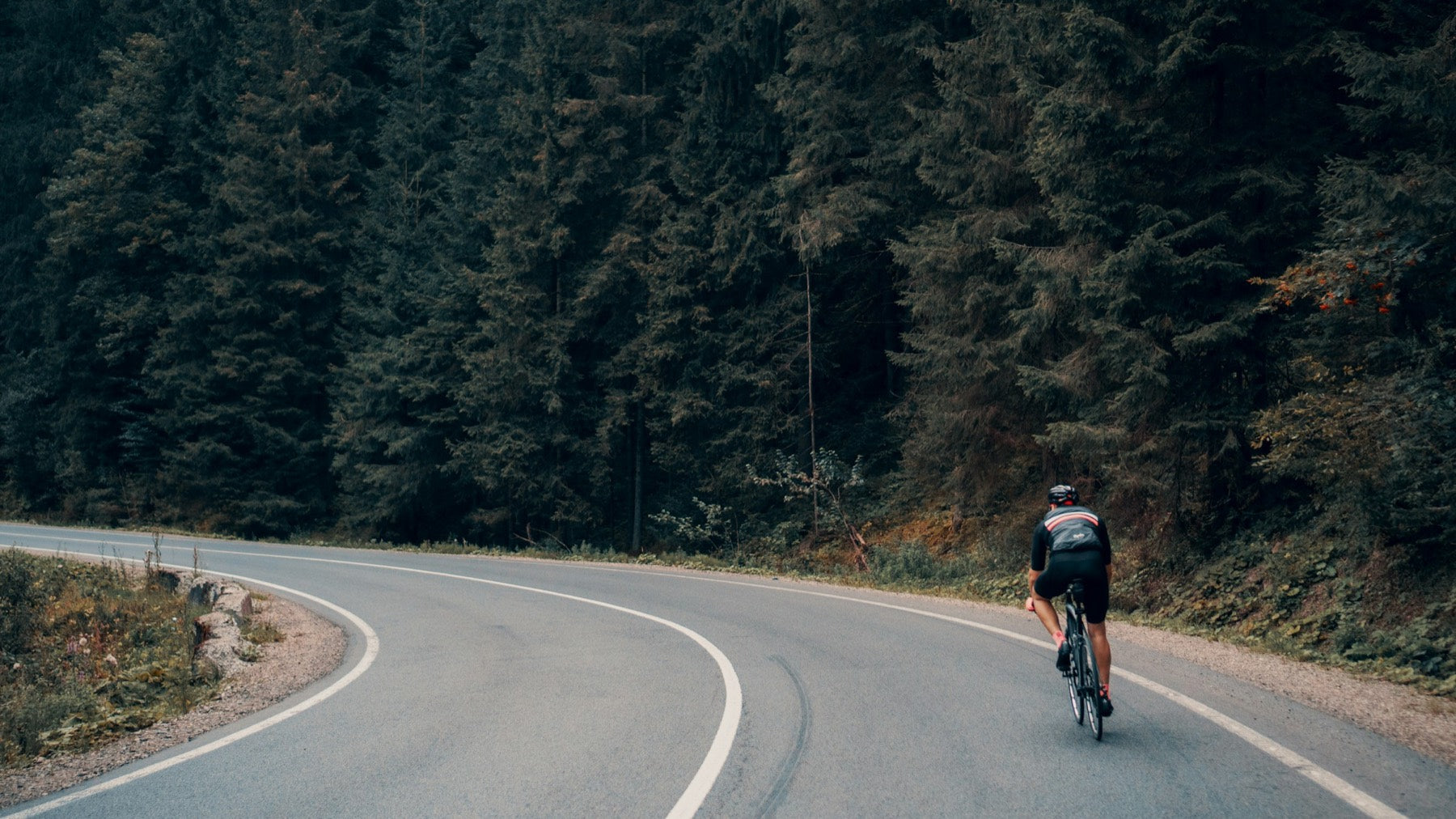 Cyclist riding a winding forest road