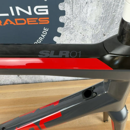 Low Mile! 2019 BMC Teammachine SLR 01 58cm Carbon Grey Rim Brake Frameset 1684g