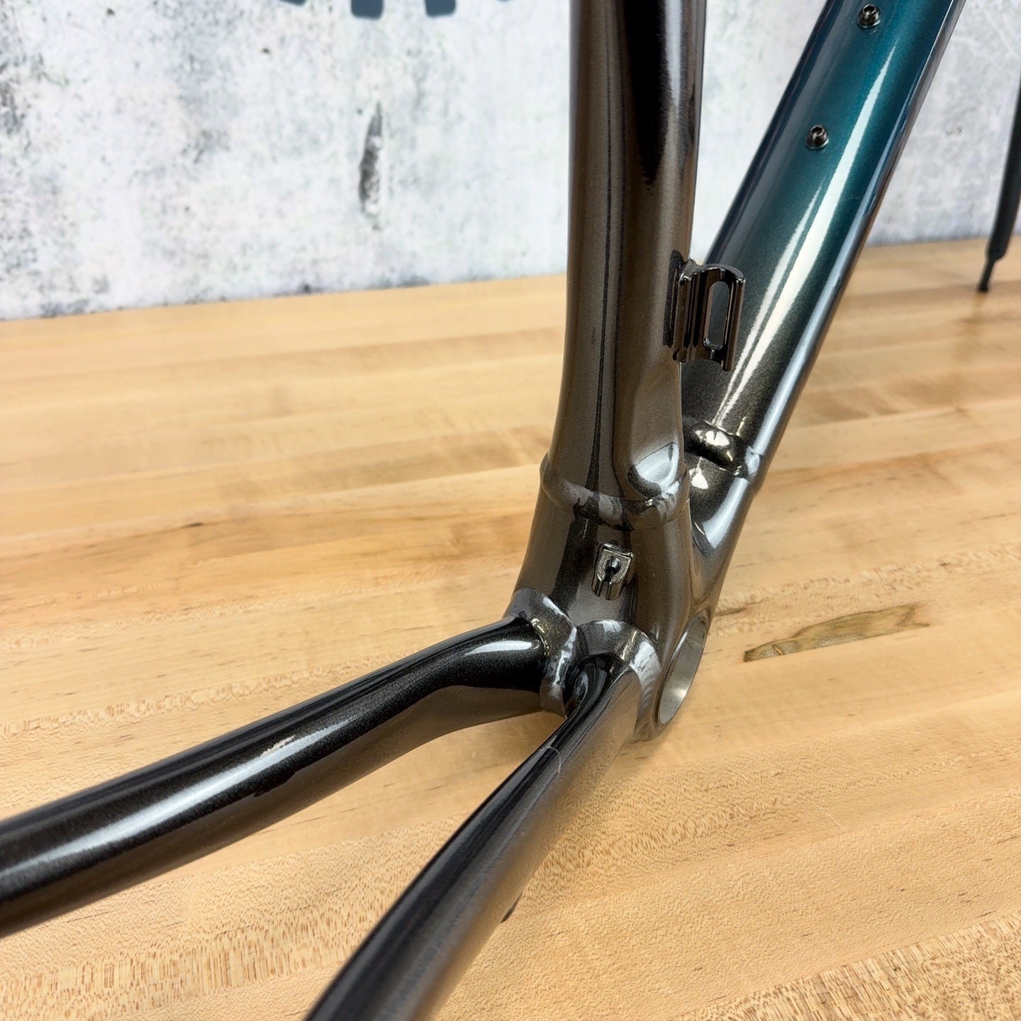 New! 2019 Specialized Allez Sprint 56cm Sagan Collection Alloy Frameset 2990g