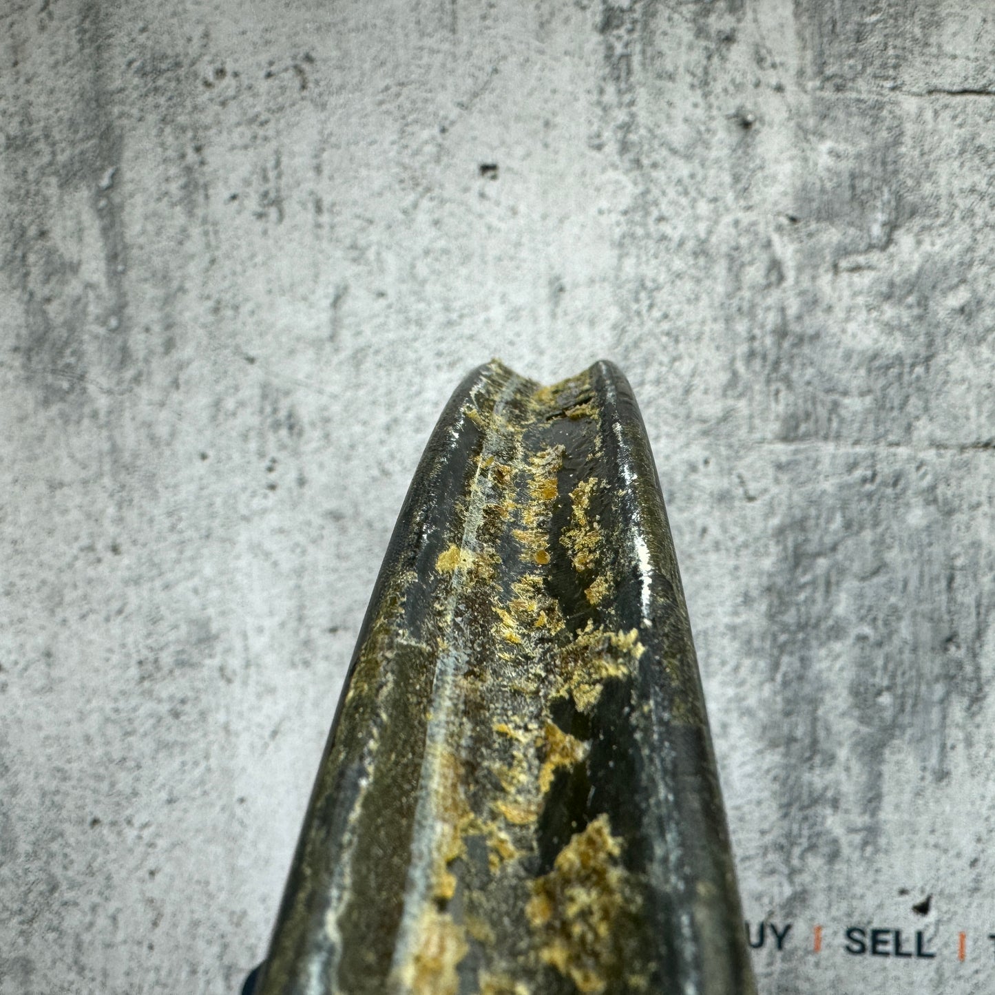 Easton EC90 Aero 55mm Carbon Tubular Wheelset 700c Rim Brake 1355g