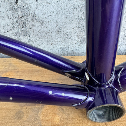 1995 Della Santa Special Corsa 25th Anniversary 57cm Rim Brake Steel Frameset 700c