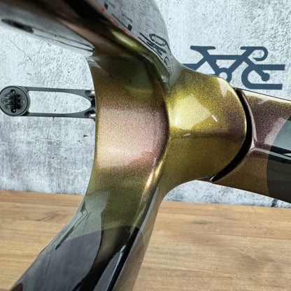 Mint! Basso Palta II Medium Carbon Gravel Disc Frameset 700c Gold Bum 2729g