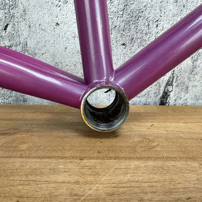 Vintage! 1994 Albert Eisentraut 56cm Rim Brake Steel Frameset 700c 2664g