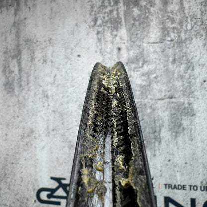 2013 Lightweight Standard III Weiss Ed Carbon Tubular Wheelset 700c Rim Brake 1233g