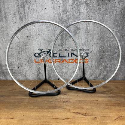 Pacenti Brevet Alloy Clincher Wheelset 700c Rim Brake Campagnolo Record Hubs