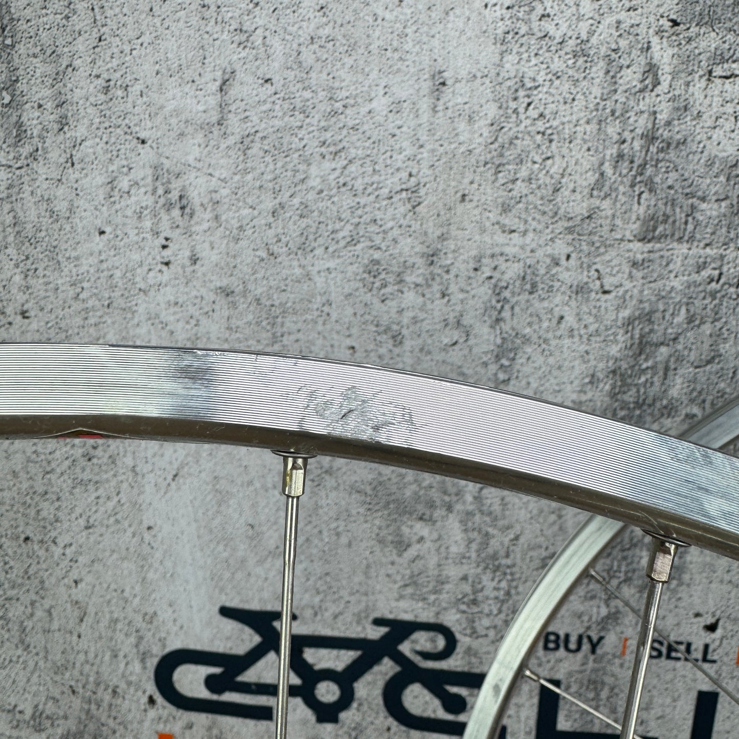 Pacenti Brevet Alloy Clincher Wheelset 700c Rim Brake Campagnolo Record Hubs