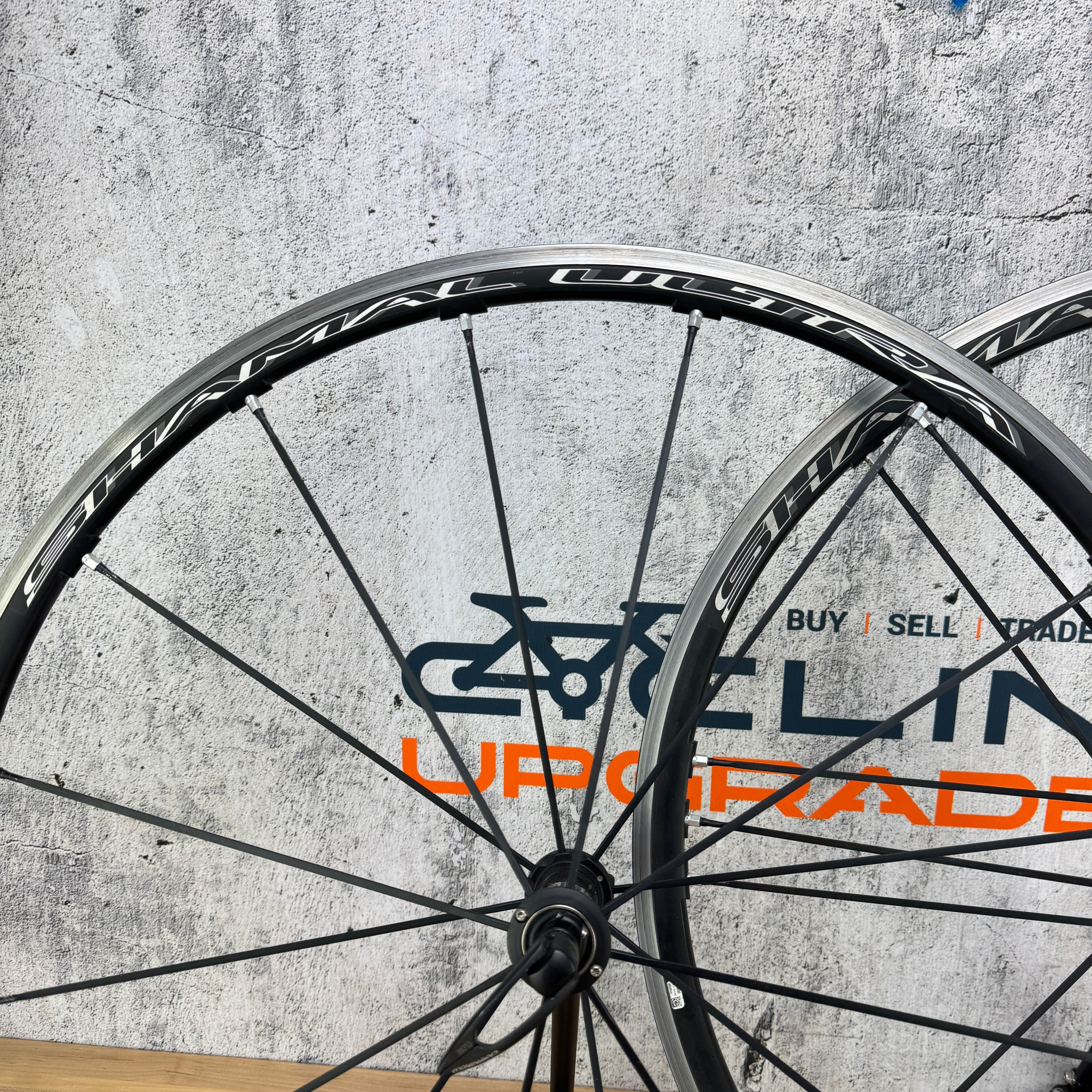 Campagnolo Shamal 35 完組ホイール 700C Campagnolo Shamal 35 完組ホイール 700C 【公式通販】