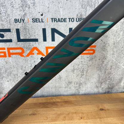 New! 2024 Canyon Endurace CFR XS (54cm TT) Carbon Disc Frameset 700c 2234g