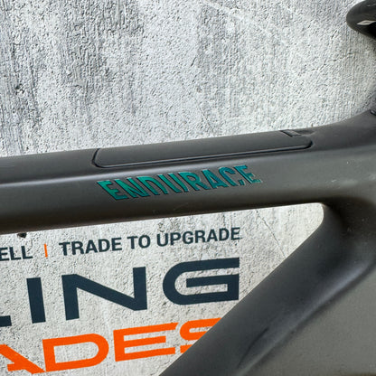 New! 2024 Canyon Endurace CFR XS (54cm TT) Carbon Disc Frameset 700c 2234g