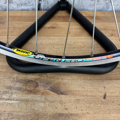 Mavic Open Pro Paul High Flange Alloy Single Speed Rear Wheel 700c Rim Brake 924g
