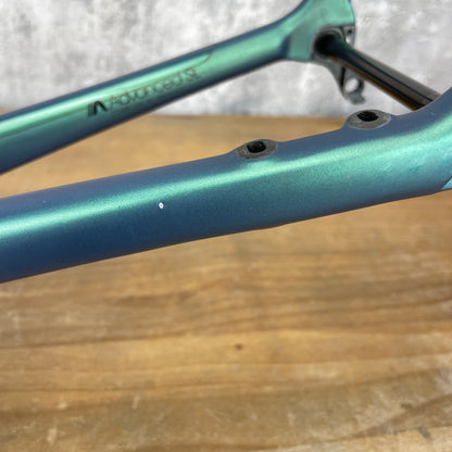 2021 Giant TCR Advanced SL Chrysocolla Medium Carbon Disc Frameset 700c 1760g