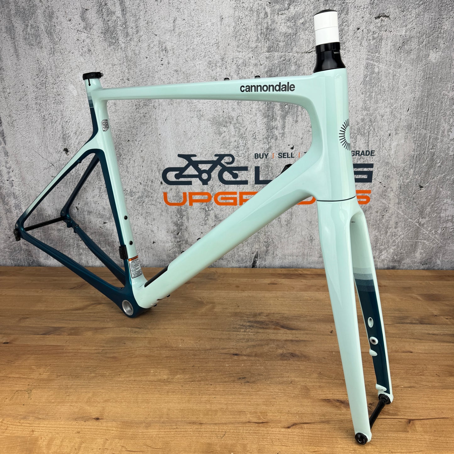 2023 Cannondale Synapse 58cm Carbon Disc Brake Frameset 700c 1947g Cool Mint