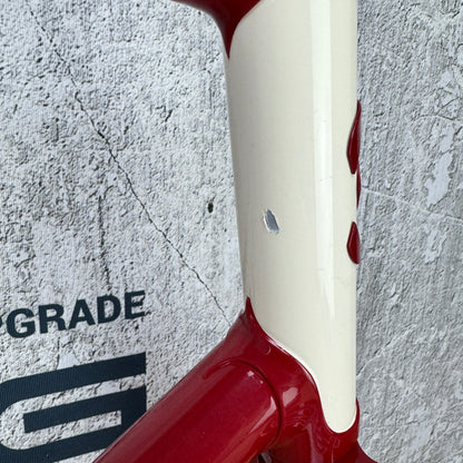 New! Bixxis Epopea Lugged Steel 56.5cm Rim Brake Frameset 700c 2787g