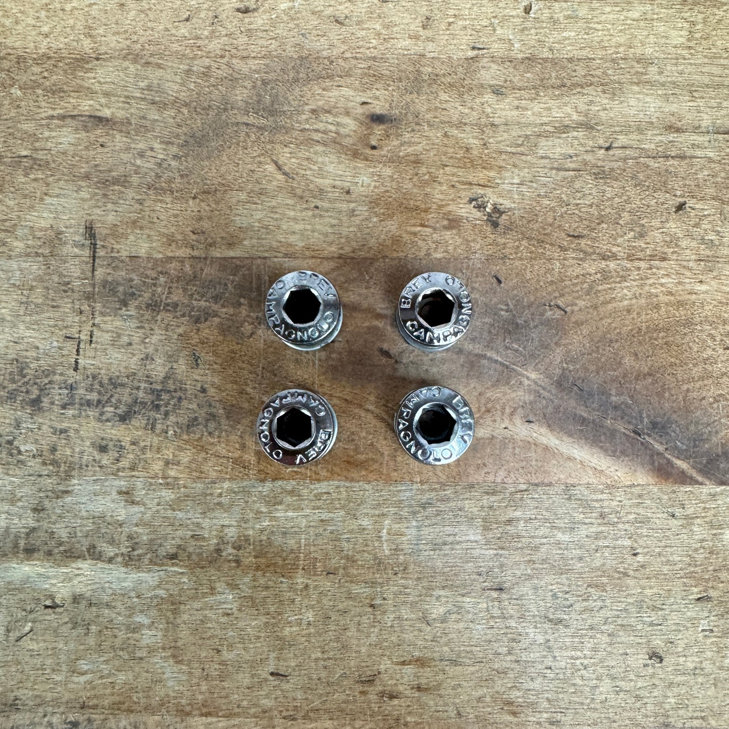 Campagnolo Brev 4x Silver Bike Chainring Bolts 22g