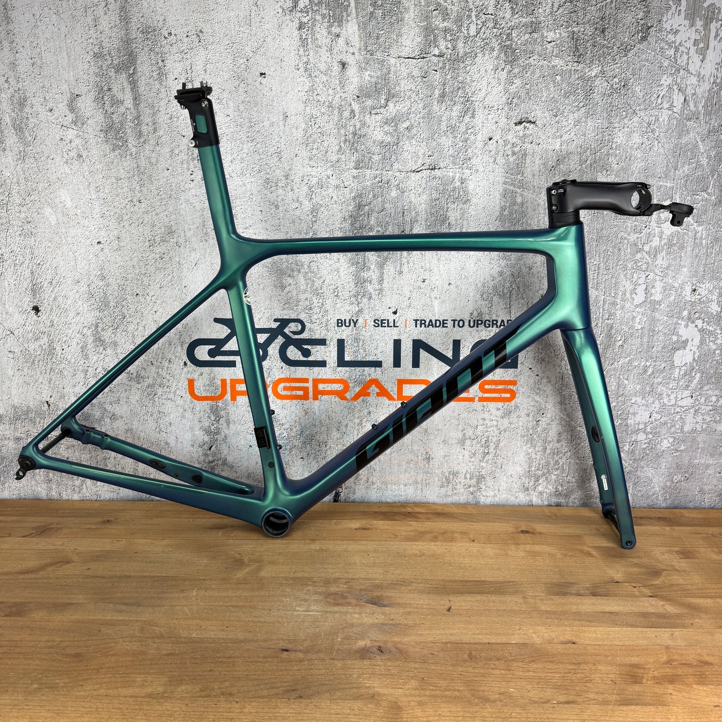 2021 Giant TCR Advanced SL M/L Carbon Disc Brake ISP Chrysocolla Frame –
