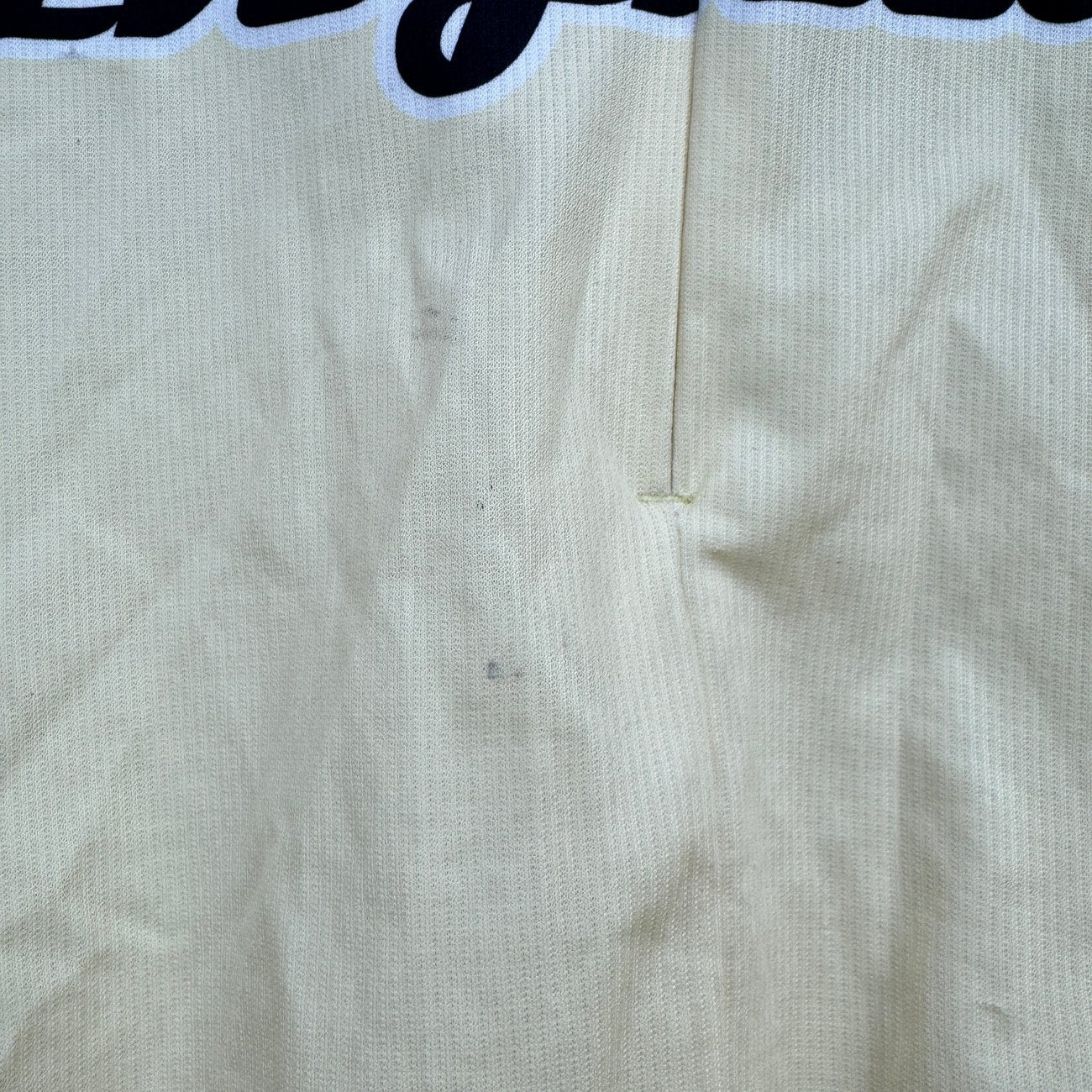 Descente Hampsten Cinghiale Large Cycling Jersey