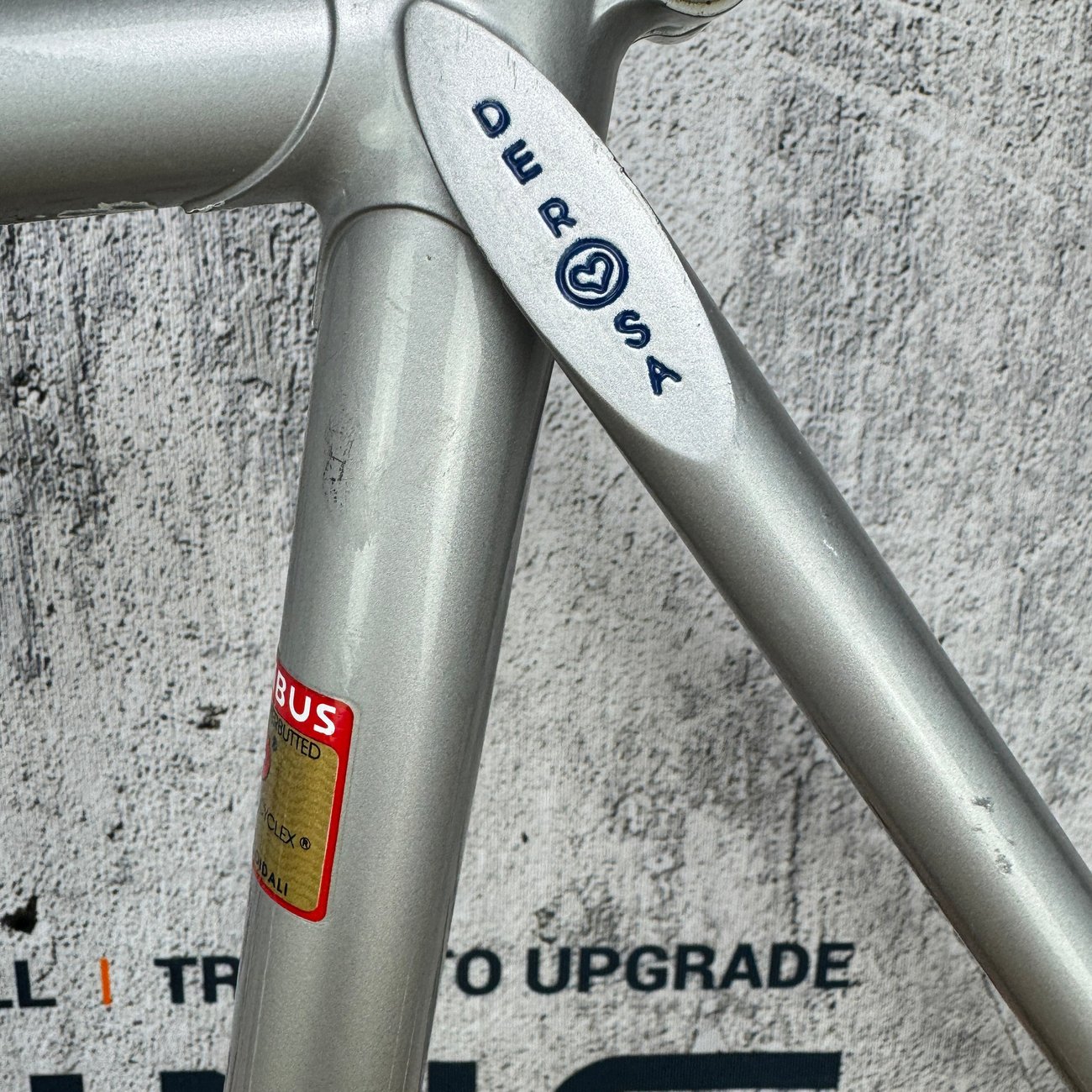 De Rosa Professional SLX 56x56cm Columbus Steel Silver Frameset