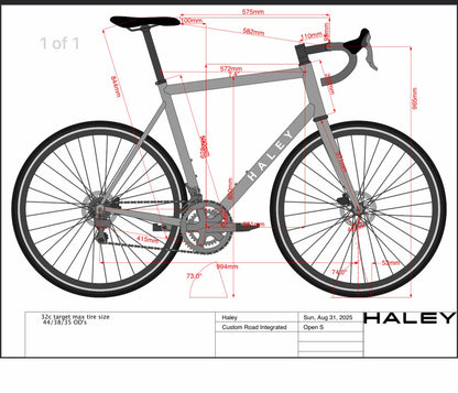 New! 2025 Haley Strada Miami Vice 57cm Titanium Disc Frameset 700c 2508g