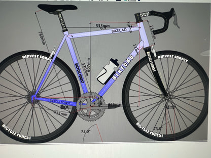 2019 Argonaut 55cm Rim Brake Road Bike Carbon Frameset 700c 1509g