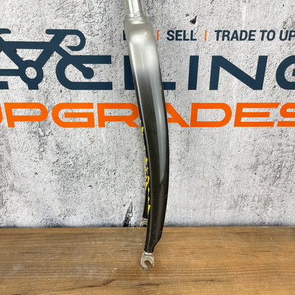 Litespeed Carbon 1 1/8" 45mm Rake 198mm steerer Road Bike Rigid Carbon Fork 465g